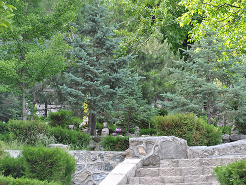 20201224/171ba8e20280601a4c6e53fcc3fb3b72.jpg