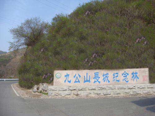 九公山陵园下葬择日您知多少