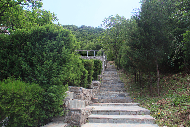 九公山您了解生态葬吗
