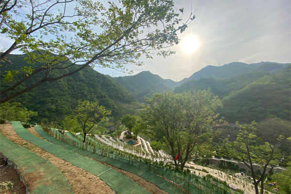 九公山陵园地址是哪里？这座陵园怎么样？