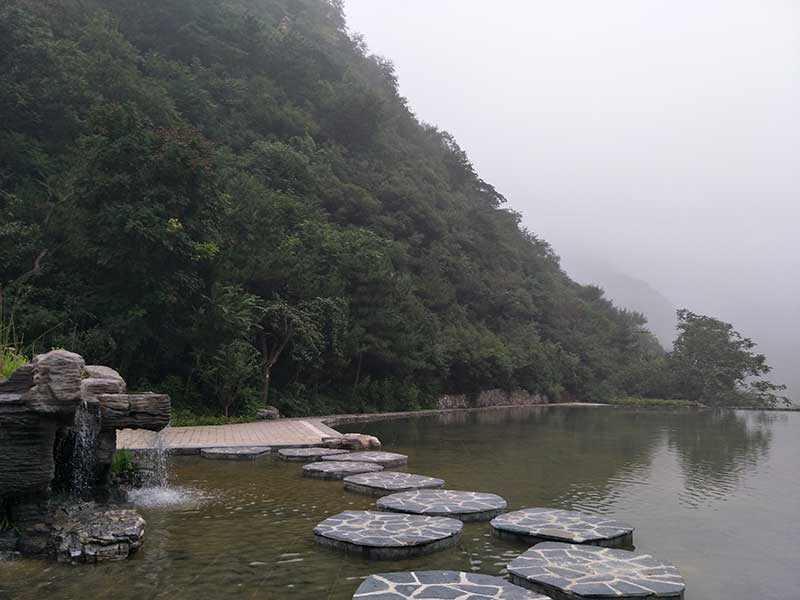北京合法树葬陵园有哪些？树葬指的是什么