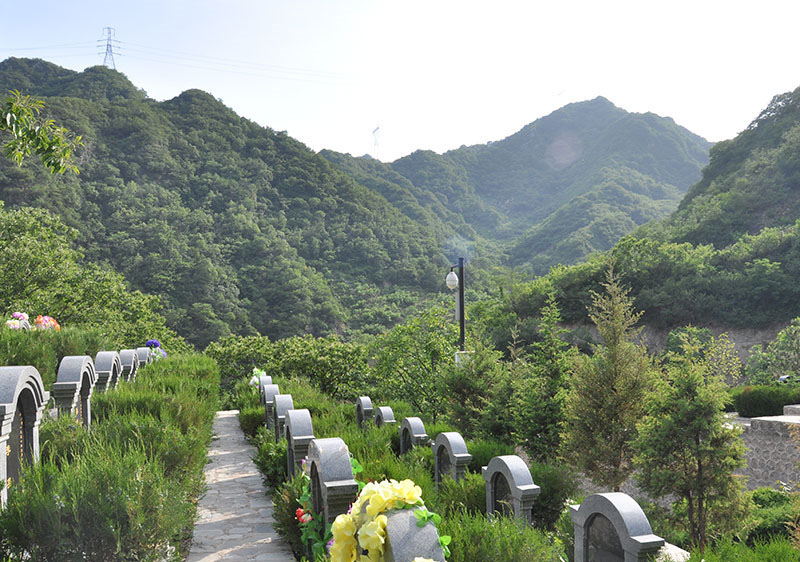 北京树葬价格贵吗，树葬好吗