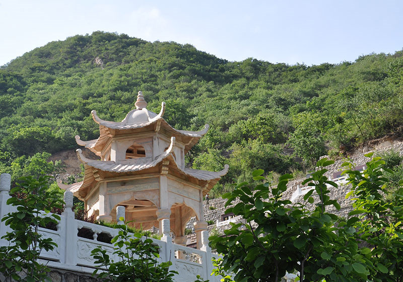 北京树葬在哪？这些你都了解了吗？