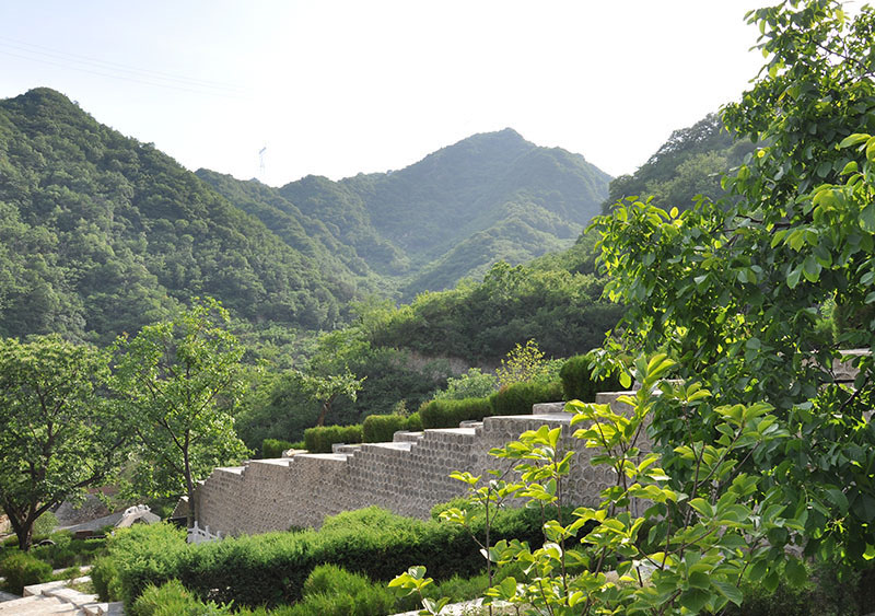 天