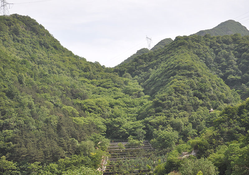 天