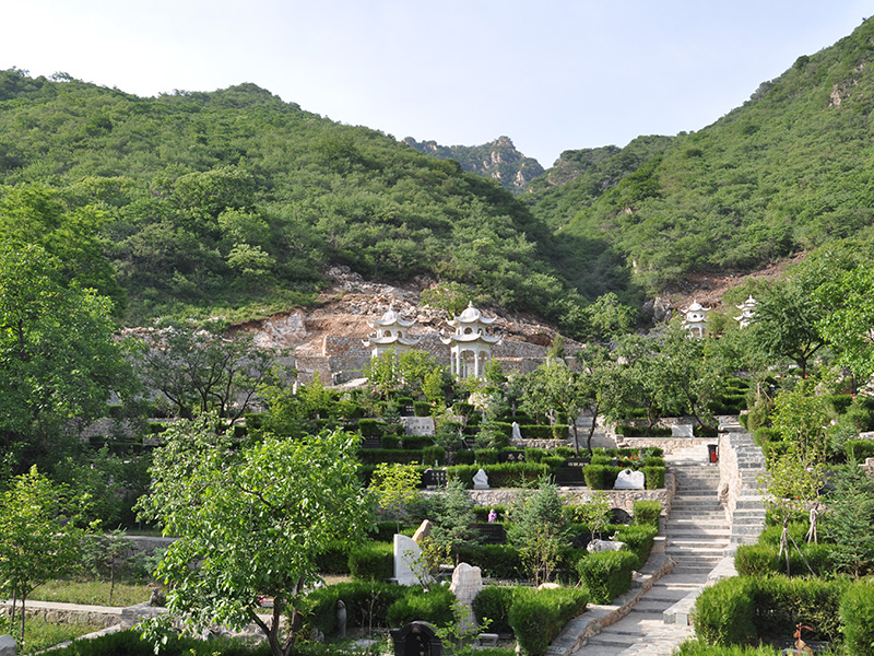 北京九公山树葬陵园大家了解吗，快来这里看看吧