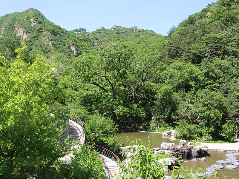北京九公山树葬公墓，现代社会发展的必然趋势