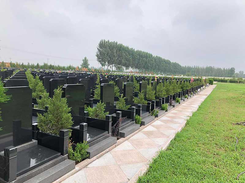 墓地朝向西南好不好