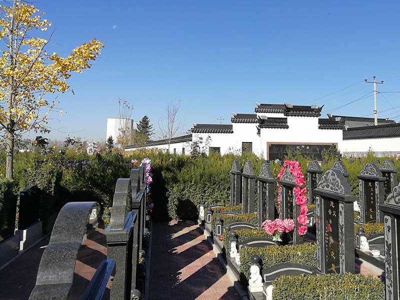 为什么在汉代出现石狮子造像?