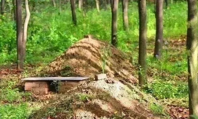土葬